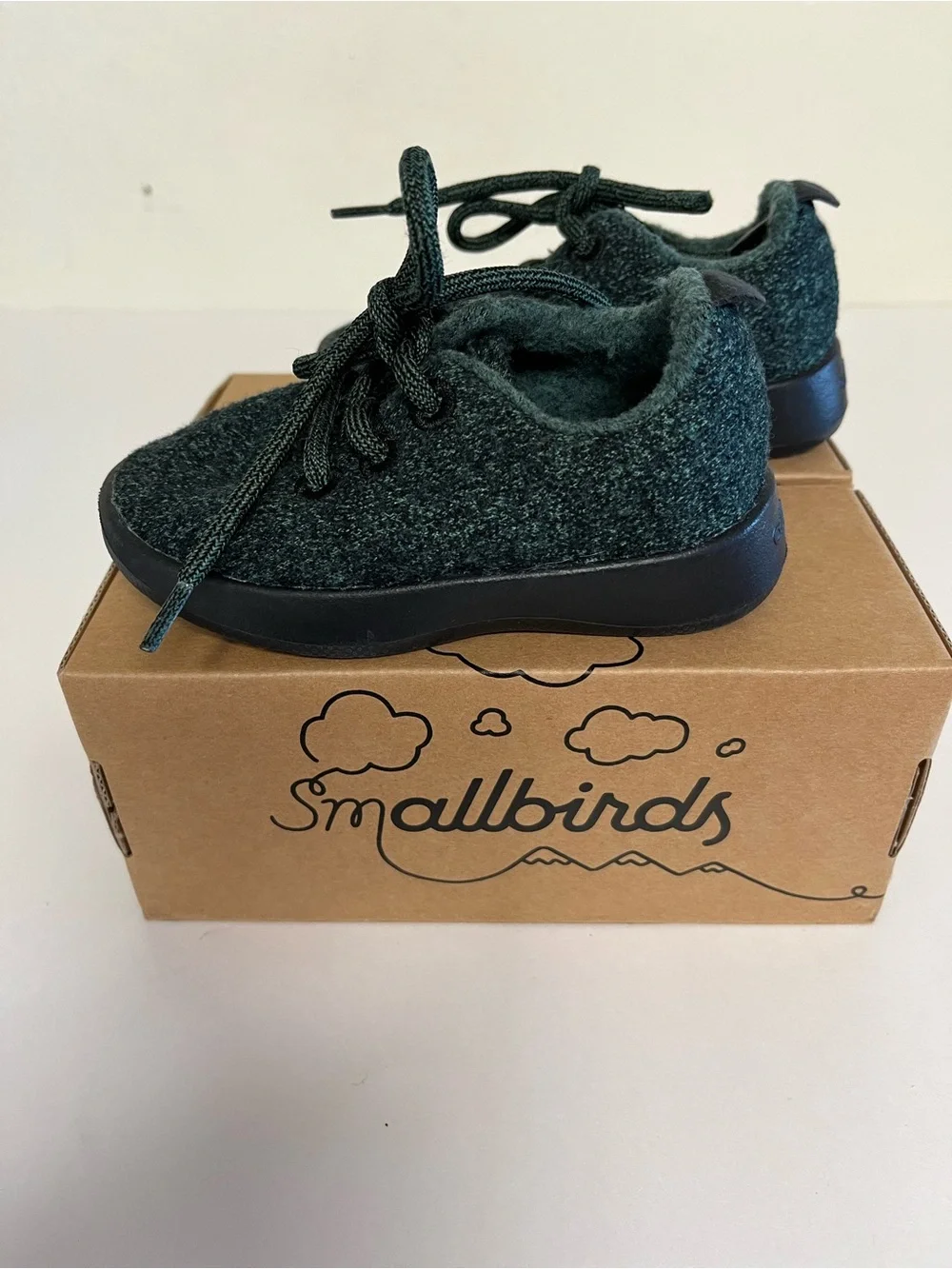 allbirds Kids Dark Green Wool Lace-Up Shoes, size T5.